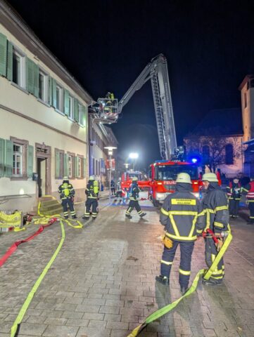 PXL_20260205_184258840.MP